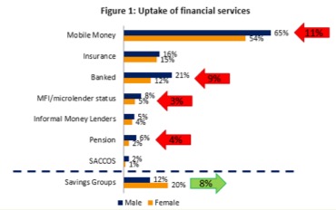 Figure 1: Uptake of financial services